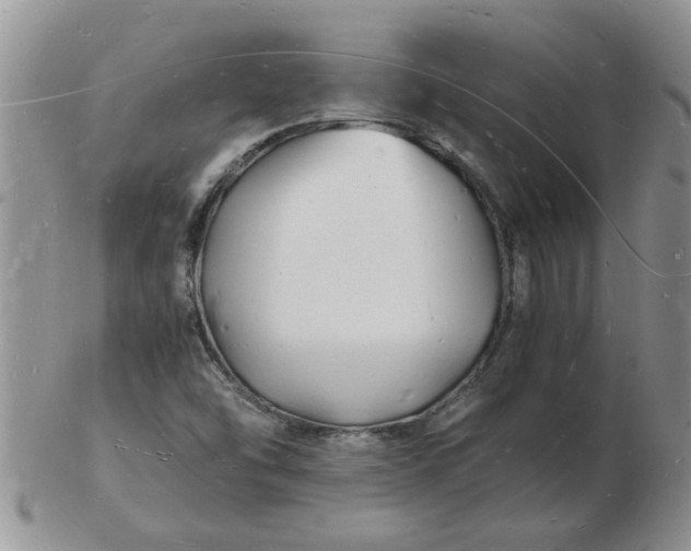 X0000103291454200809121957