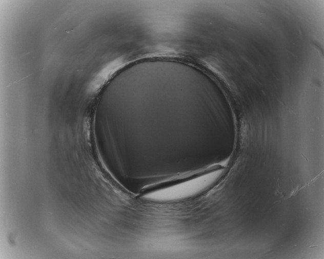 X0000103291455200809121957