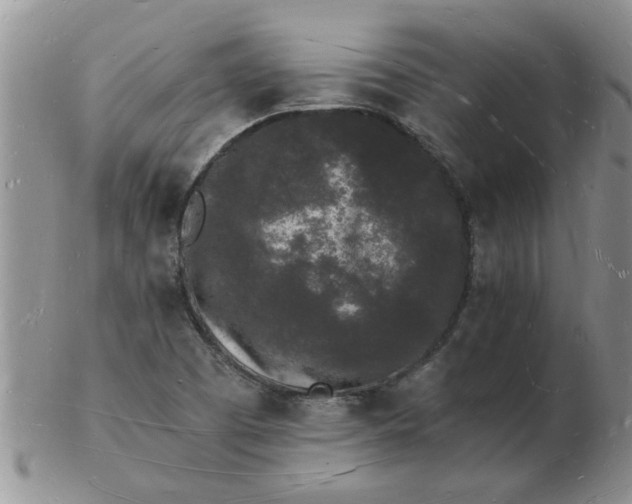 X0000103291457200809121956