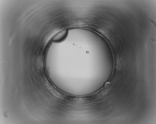 X0000103291458200809121956