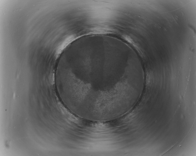 X0000103291459200809121956