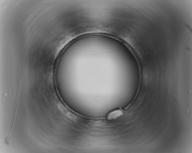 X0000103291460200809121956