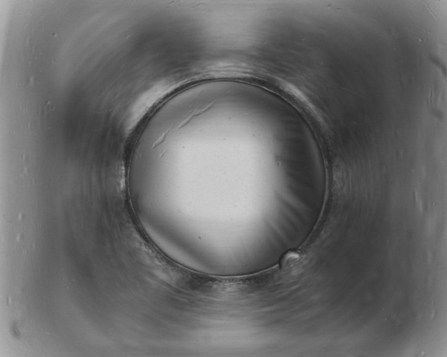 X0000103291461200809121956