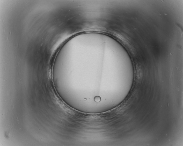 X0000103291462200809121956