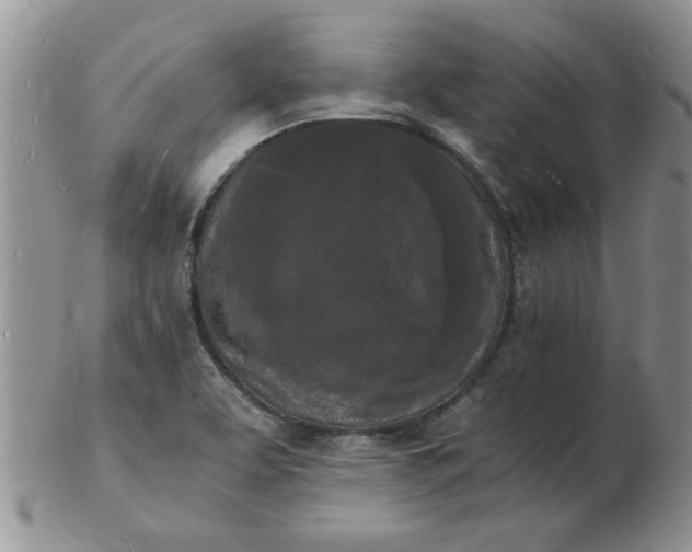 X0000103291463200809121956