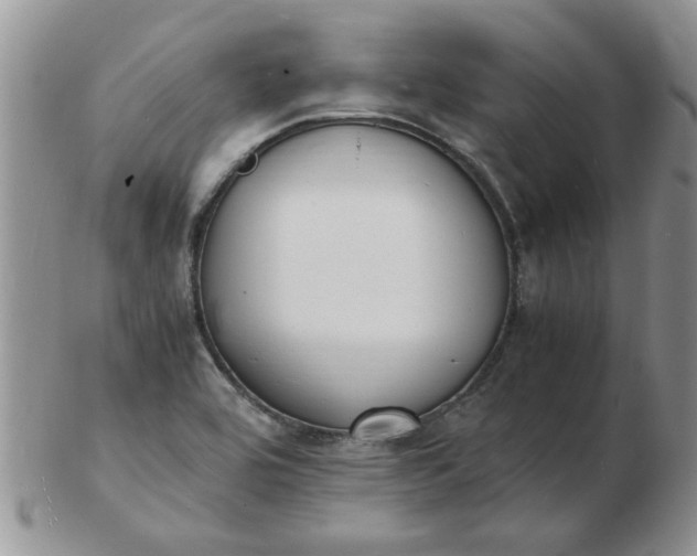 X0000103291464200809121956