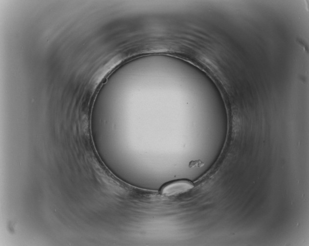 X0000103291465200809121956