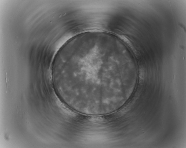 X0000103291466200809121956