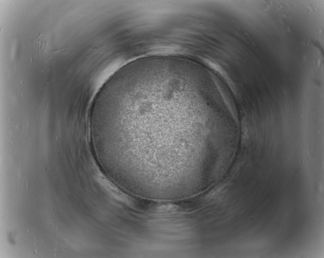 X0000103291467200809121956