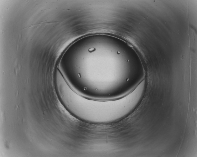 X0000103291468200809121956