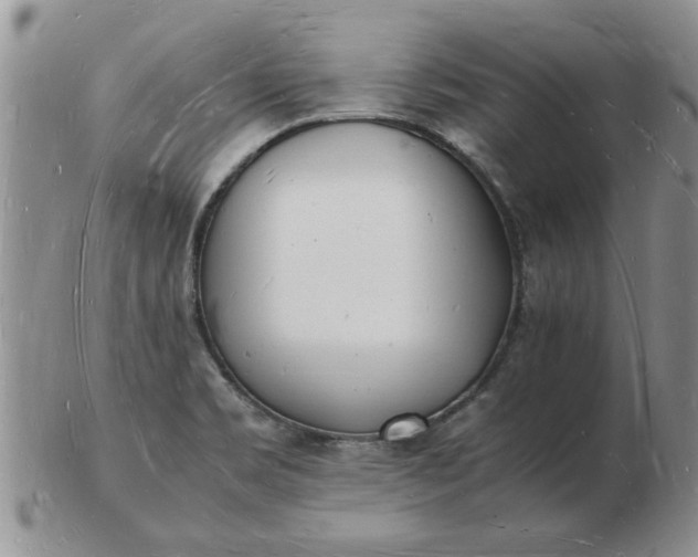 X0000103291469200809121956