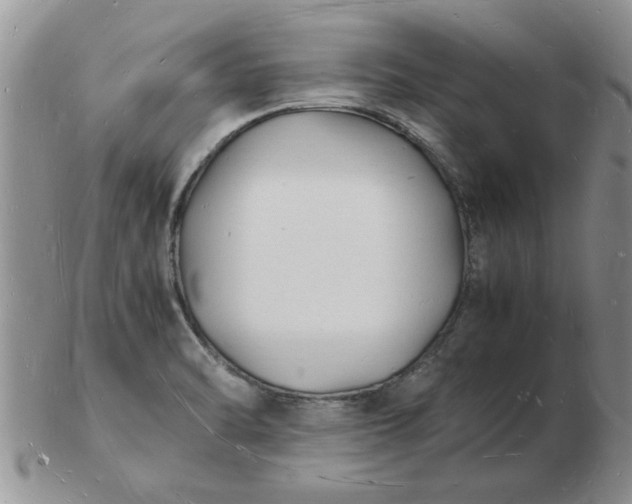 X0000103291470200809121956