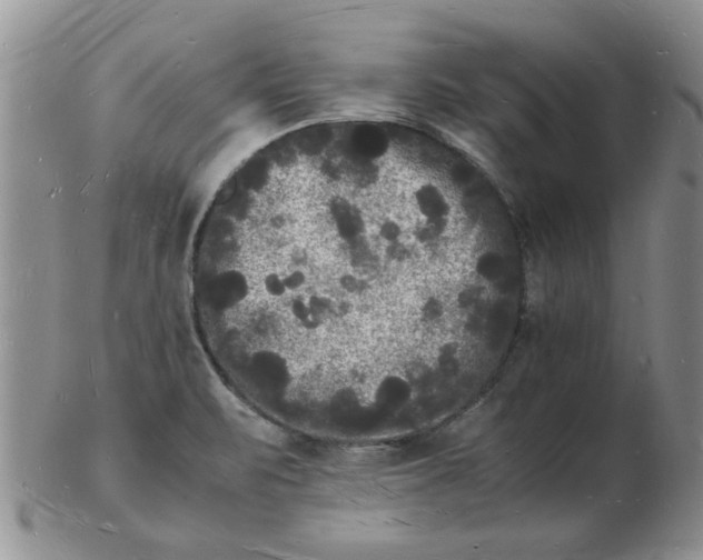 X0000103291471200809121956