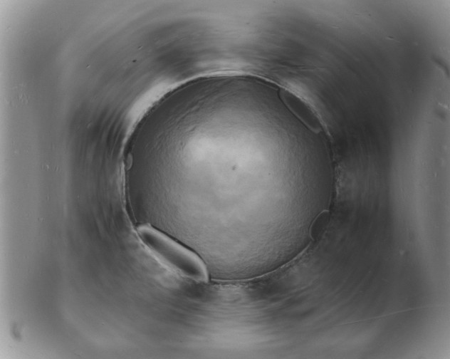 X0000103291472200809121956