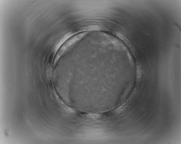 X0000103291473200809121956