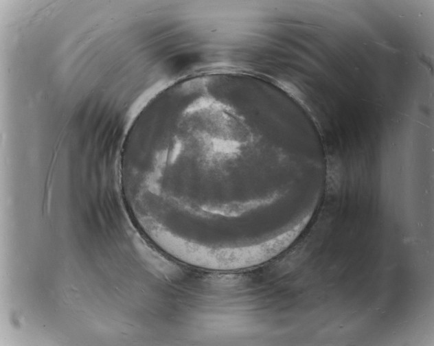 X0000103291474200809121956