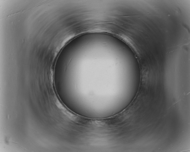 X0000103291476200809121956