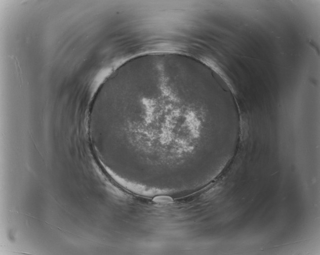 X0000103291477200809121956