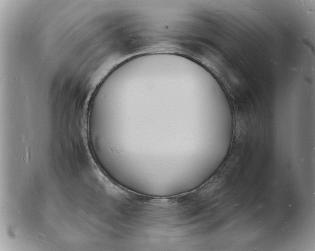 X0000103291478200809121956