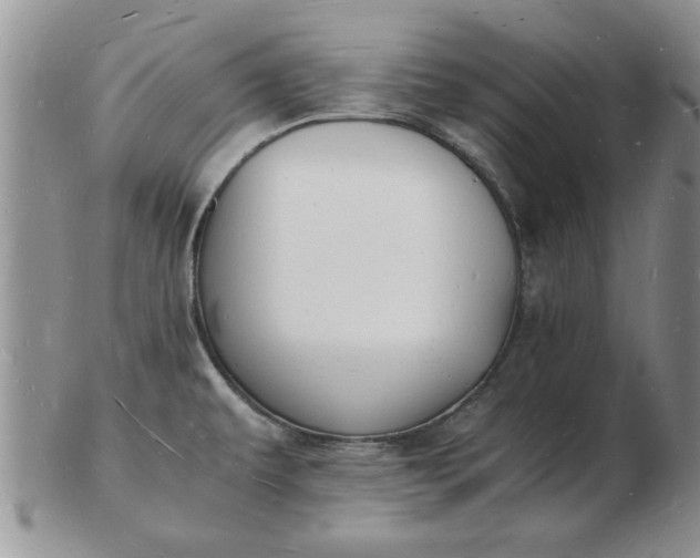 X0000103291479200809121956