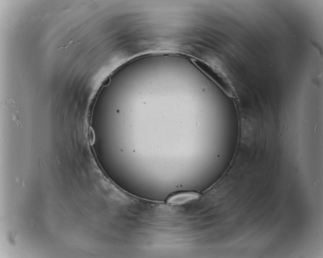 X0000103291480200809121956