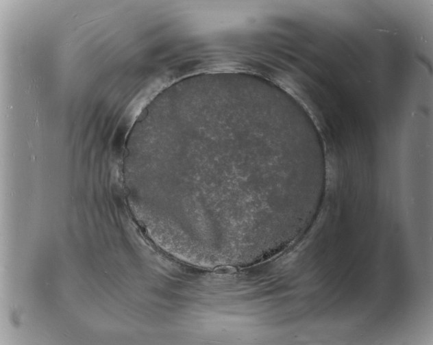 X0000103291481200809121956