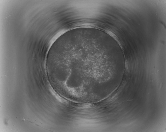 X0000103291482200809121956