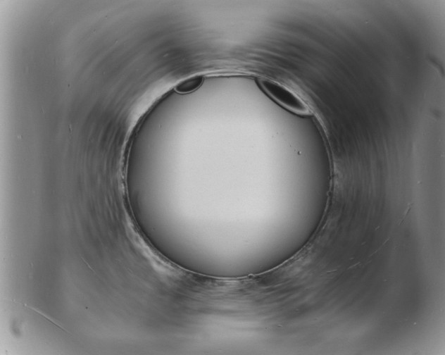 X0000103291485200809121956