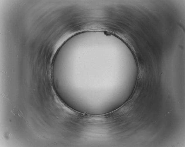 X0000103291486200809121956