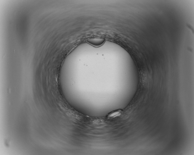 X0000103291489200809121955