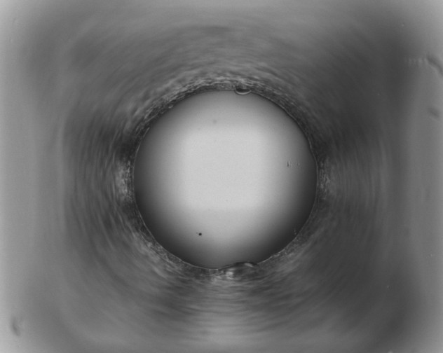 X0000103291490200809121955