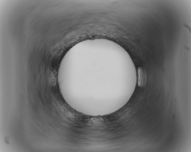 X0000103291491200809121955