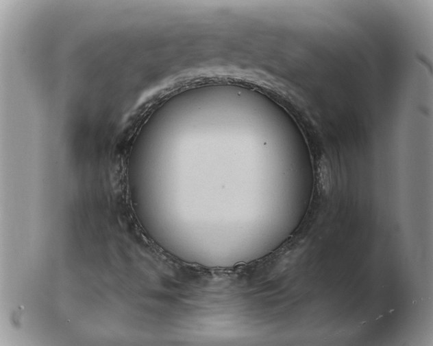 X0000103291494200809121955