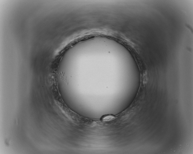 X0000103291496200809121955