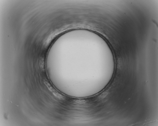 X0000103291499200809121956