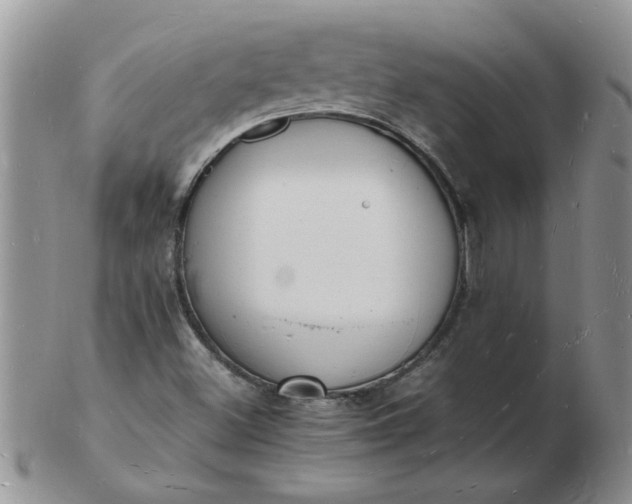 X0000103291500200809121956