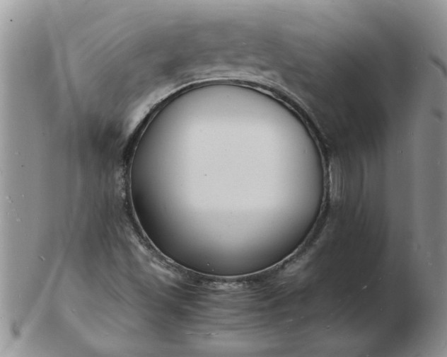 X0000103291501200809121956