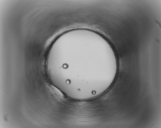 X0000103291502200809121956