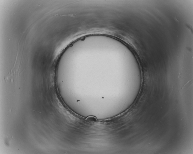 X0000103291504200809121956