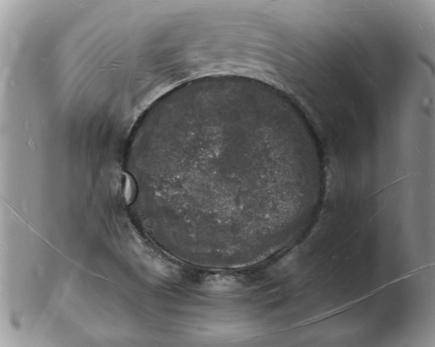 X0000103291505200809121956