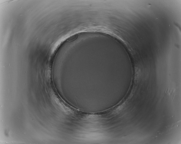 X0000103291506200809121956