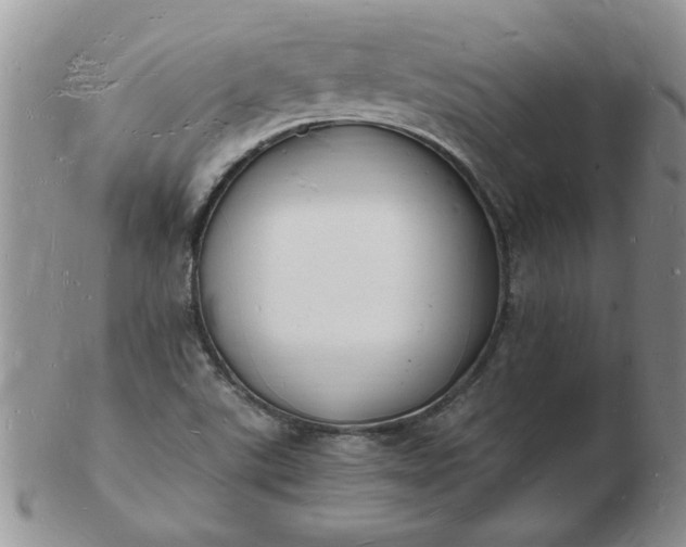 X0000103291507200809121956