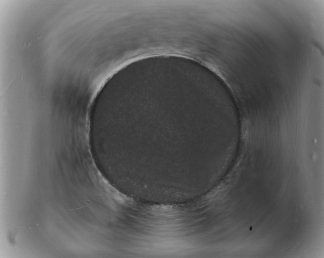 X0000103291508200809121956