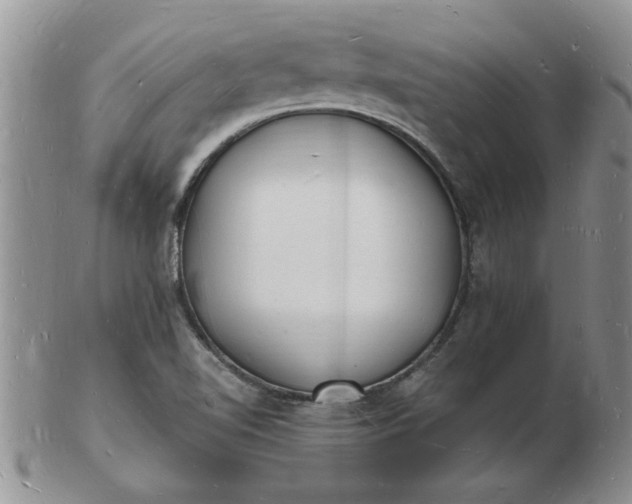 X0000103291510200809121956