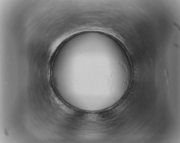 X0000103291511200809121956