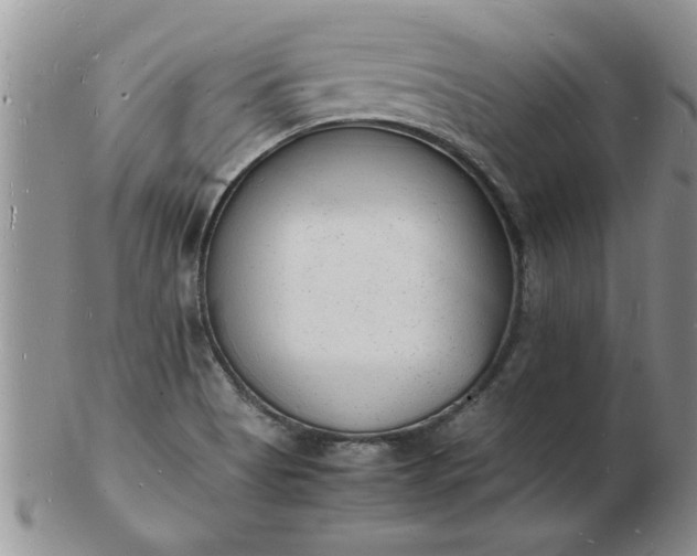 X0000103291513200809121956