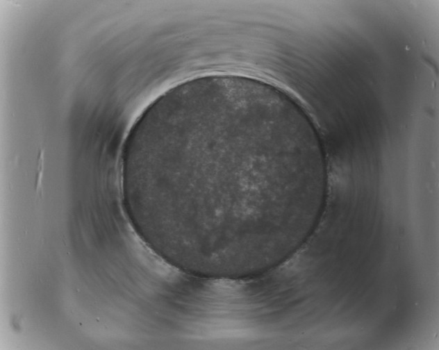 X0000103291514200809121956