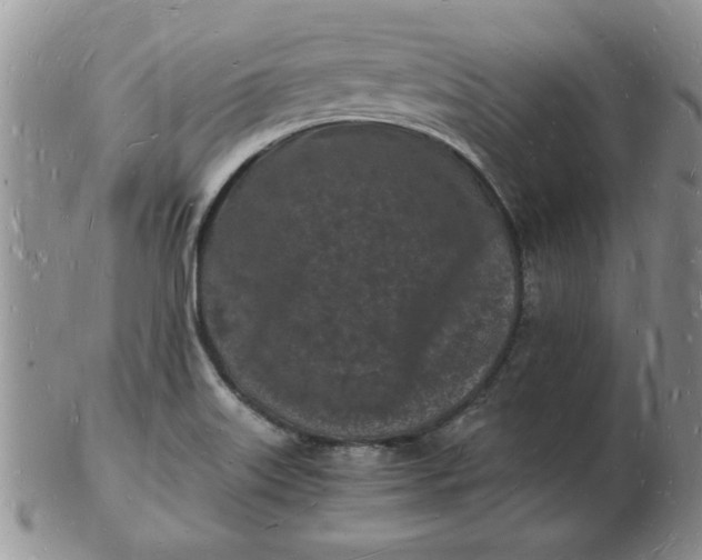 X0000103291515200809121956