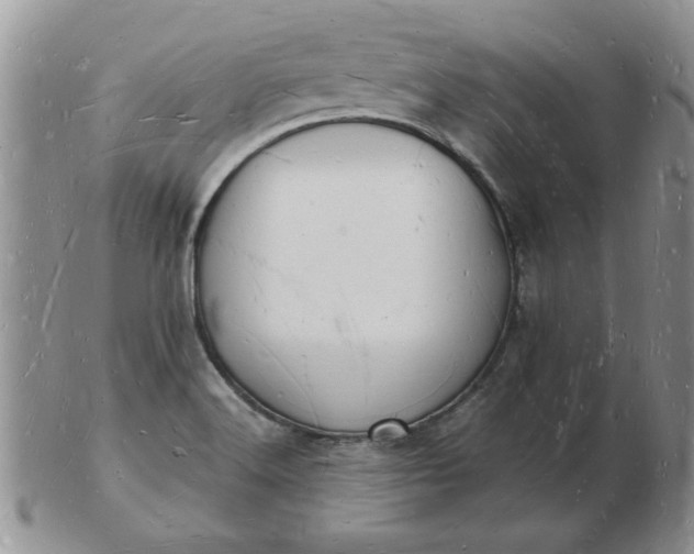 X0000103291516200809121956