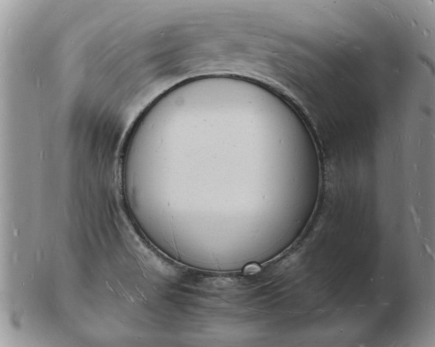 X0000103291517200809121956